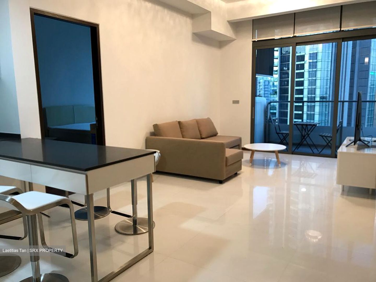 The Scotts Tower (D9), Condominium #405044991